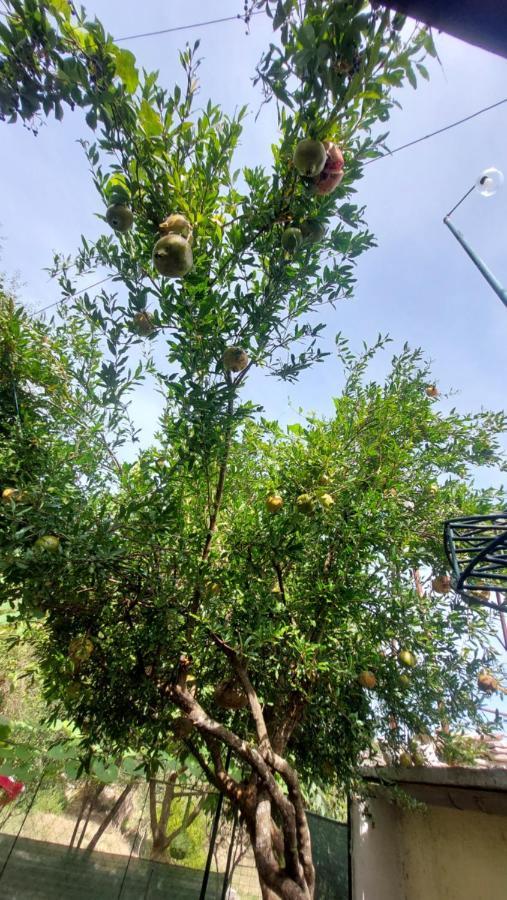 Relax Camping Gjirokastra Zewnętrze zdjęcie
